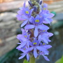 Dscn0585