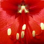 Dscn3698