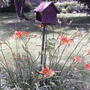 2008-07-082_019