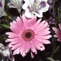 2008-07-06_014