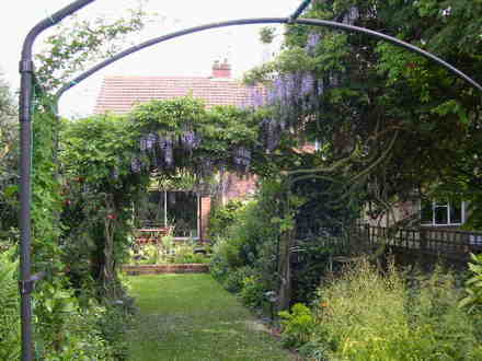 My back garden