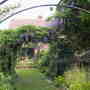 My back garden