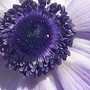 11_7_12