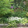Another pic of the garden in June