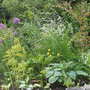 still space for more plants