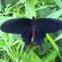 13-05-07_104526.jpg