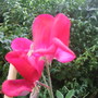 sfgsep07_008.jpg