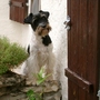 Spanish_pics_065