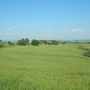 Dscn0100