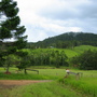 Malanda
