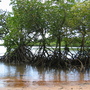 Mission_beach