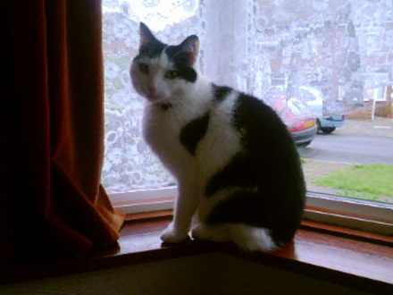 Walter