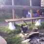 larkhill_tipis_013.jpg