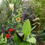 Garden__july__14th__2008