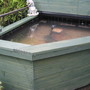 New pond