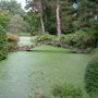  Garden Tatton Park
