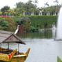 Stork on the lake