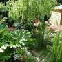 towards the shed and greenhouse.