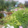 allotment
