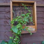 Garden_011