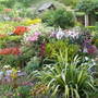 L_larford_garden_-_mid_summer_07_007