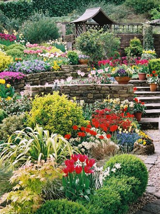 Tulip Time - 07