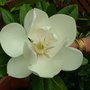 Abdul_s_pictures_038.jpg