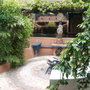 my garden