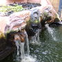water feacture
