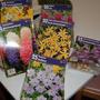 spring bulbs
