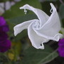 July1708_010.jpg