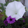 July1708_012.jpg