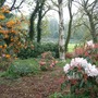 2004_05_01wdland_gdn_1em