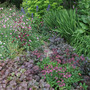 Long border at Llwyngarreg