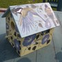 A little bird house I painted