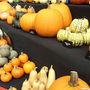 pumpkins.jpg