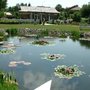 Pond2