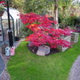 Captured_2007-10-11_00012