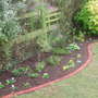 Border planted.