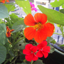 Img_2480web