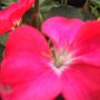 Img_2481web