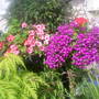 baskets in front garden