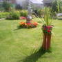 lawn in allotment 