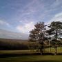 Sussex_countryside