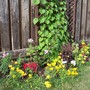 100_8962.jpg