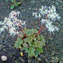 Dsc00063_edited