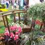 Tatton Park 2008 - RHS flower show