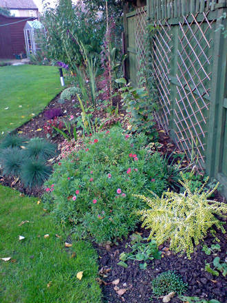 woodland bed 0ct 07