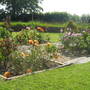 A section of the Rose Garden