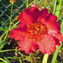 Dsc00070_edited